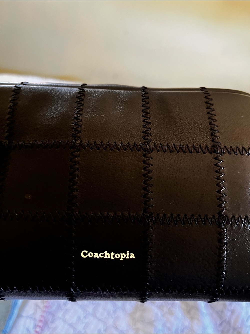 Coachtopia Alter Ego Black Leather Cosmetic Bag - Picture 5 of 16